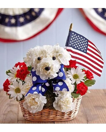 Yankee Doodle Doggie Flower Arrangement