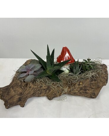 Forest Log Succulent Planter Dish Garden Plant