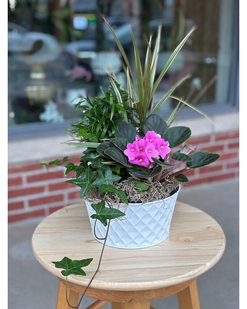 Plants Delivery Mississauga ON - Streetsville Florist