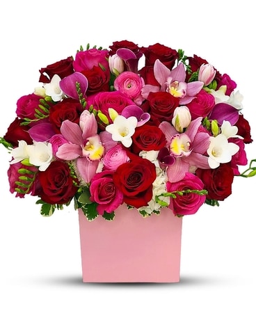 Premium size, 20 inches height and 18 inches wide.
