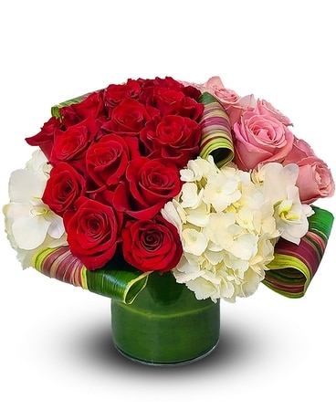 Deluxe size, 14 inches height and 15 inches wide.
