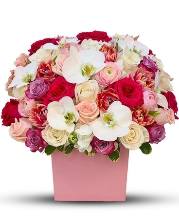 Premium size, 20 inches height and 19 inches wide.