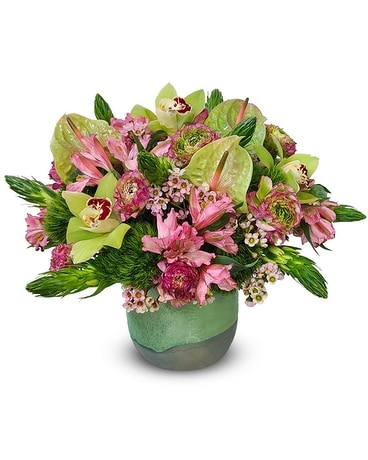 A Botanical Beauty