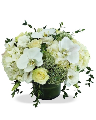 Premium size, 15 inches height and 15 inches wide.
