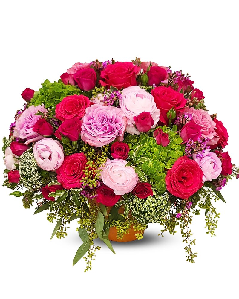 ROSE BUD 2017 PRE SPRING カタログ　森星 Shinoburedo Rose Plant|蓝色风暴 – Rose_Explosion