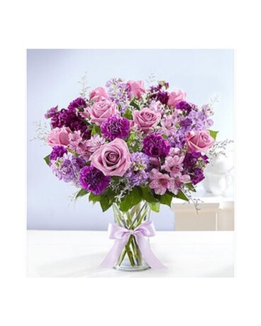 Shades of Purple -#161724LZ