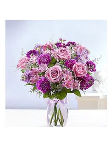Shades of Purple -#161724M
