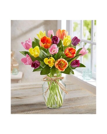 Mixed Tulips 25 Stems - #MF91317M Flower Arrangement