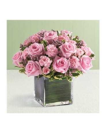 10 Pink Rose And Mini Carnation Cube Mf148508m In Palm Desert 10 Pink Rose And Mini Carnation Cube