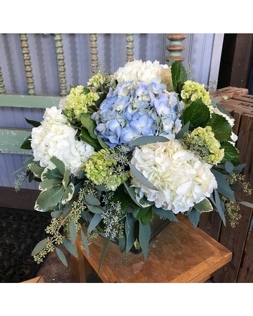 The Shoppe's - Mixed Hydrangea Garden Flower Arrangement