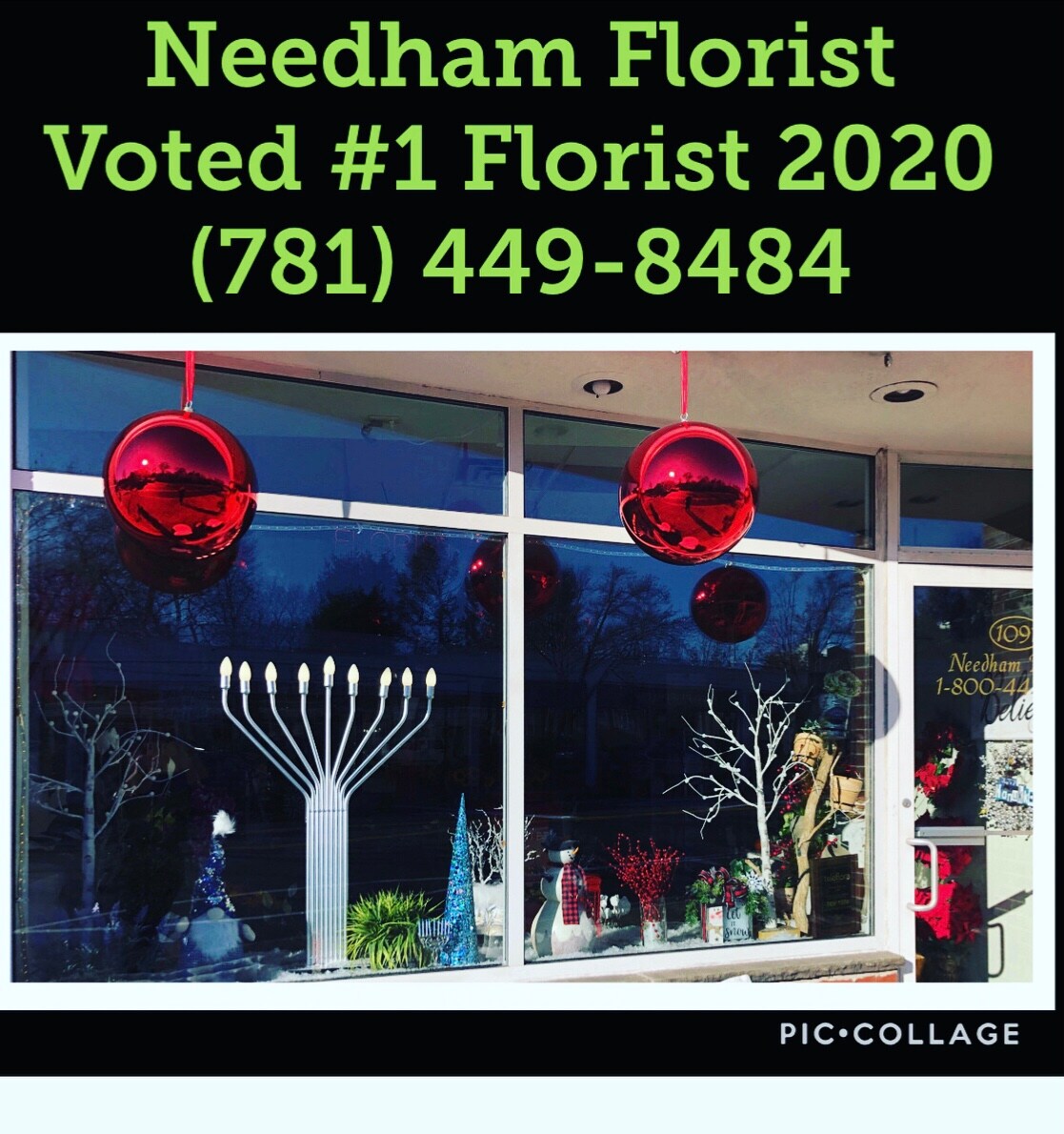 Needham Florist Flower Delivery by Needham Florist