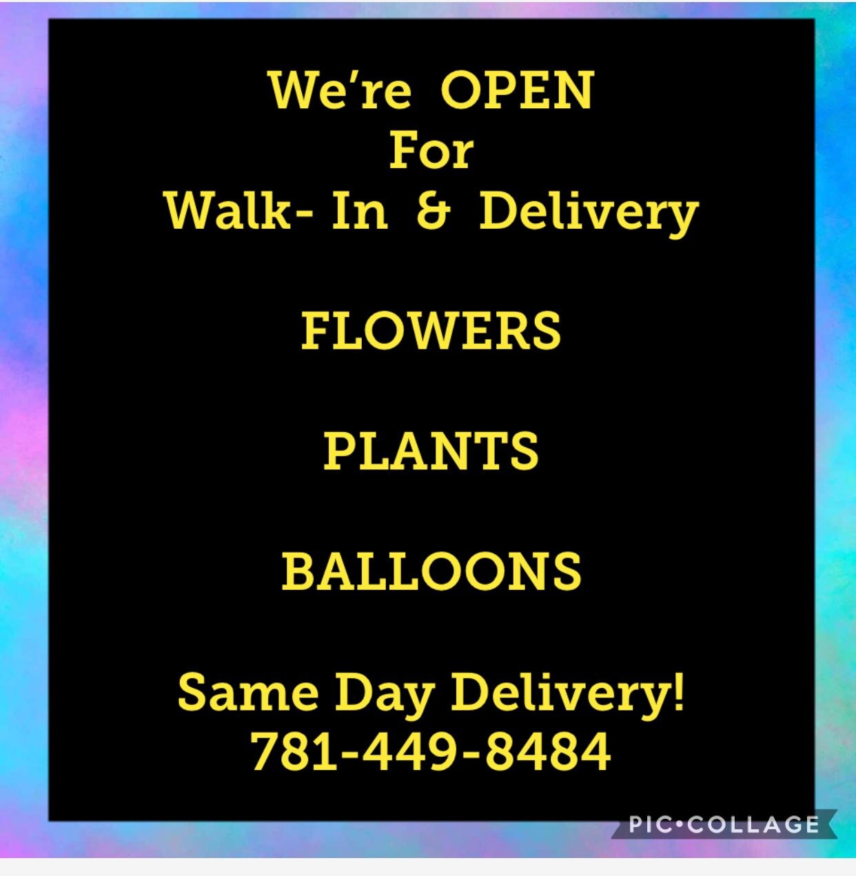 Needham Florist Flower Delivery by Needham Florist