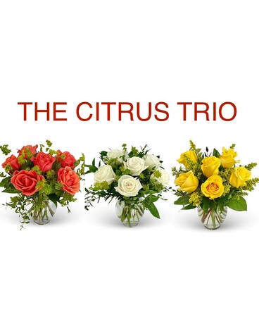 Citrus Trio Flower Arrangement