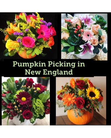 PUMPKIN PICKING IN NEW ENGLAND Flower Arrangement
