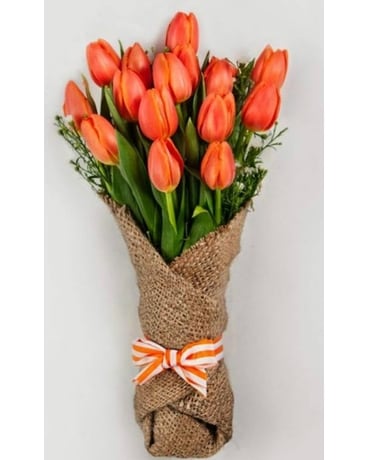 Holland Tulips in Burlap - YOU CHOOSE THE COLOR Flower Arrangement