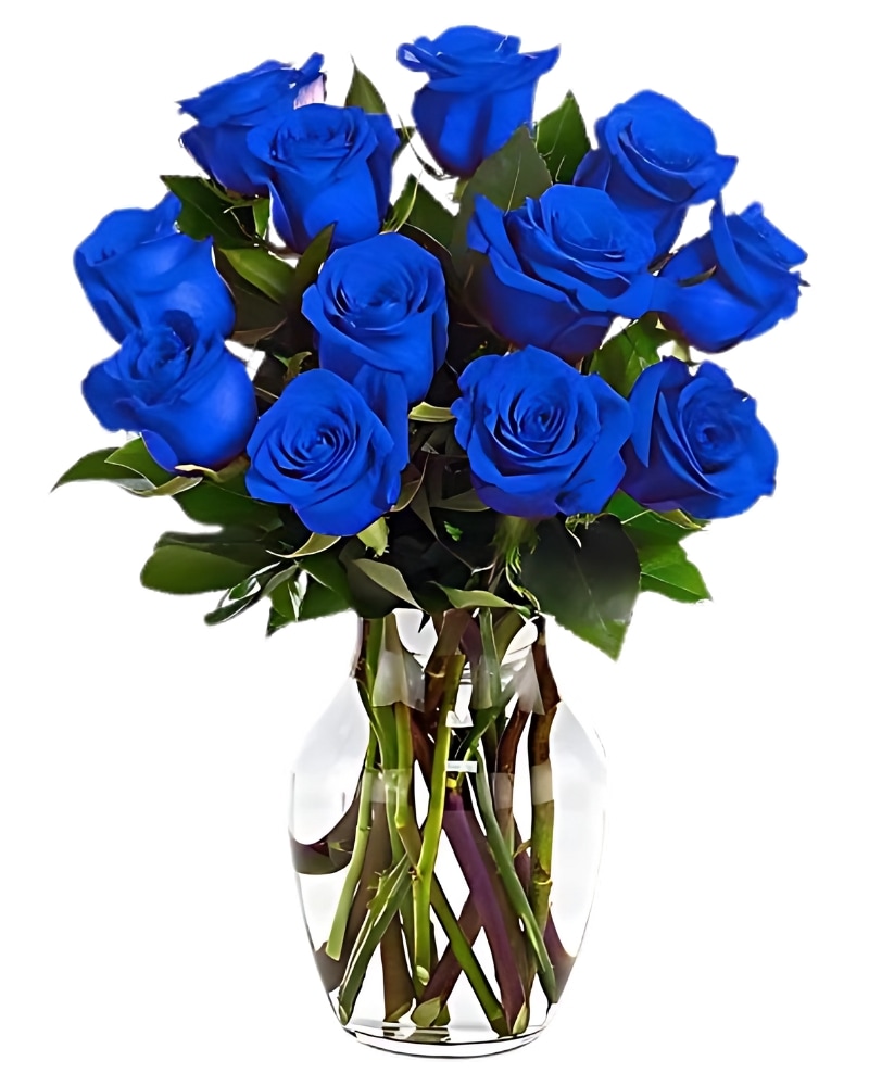 Dozen Blue Roses in Clinton MD - Clinton Floral