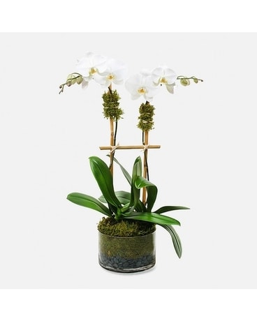 The Orchid Decor Flower Arrangement