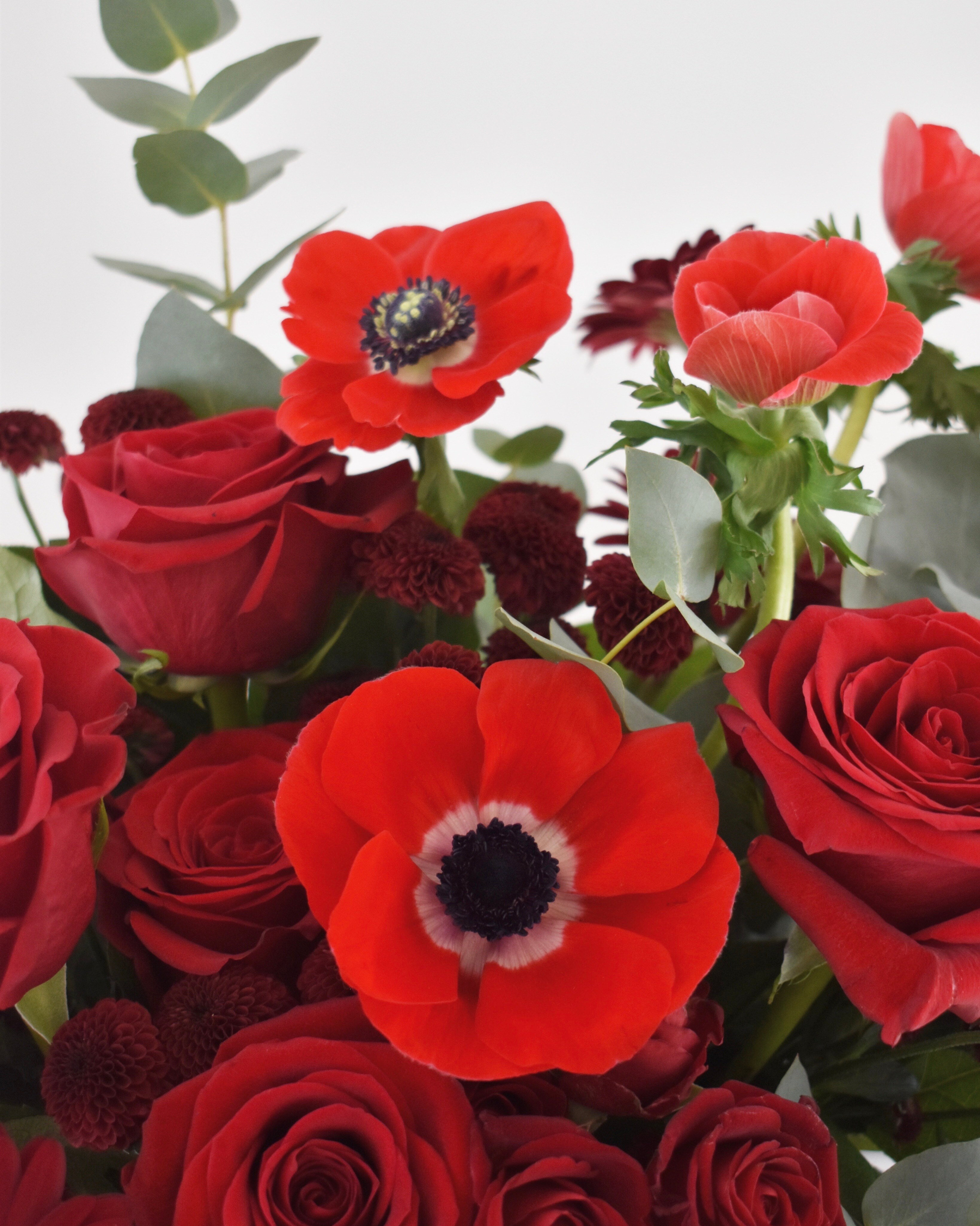 Beautiful Seasonal Flowers Banner