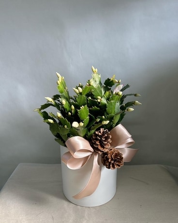 Cactus De Noël Flower Arrangement