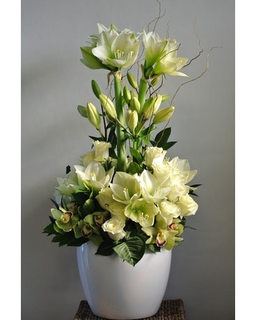 L'AMARYLLIS BLANC Sympathy Arrangement