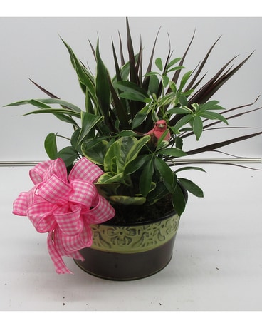 Perky Perch Dish Garden Flower Arrangement
