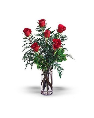 Half Dozen Red Roses Flower Arrangement