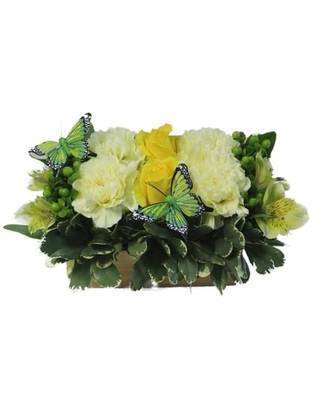 Tranquility Flower Arrangement