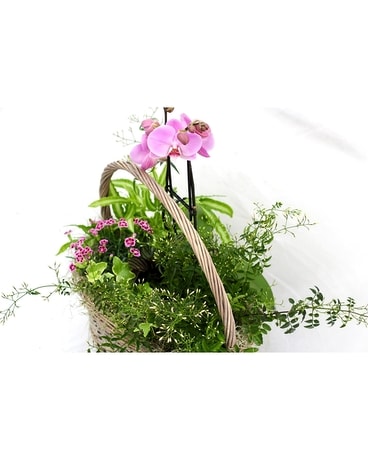 Leather And Lace Flower Arrangement