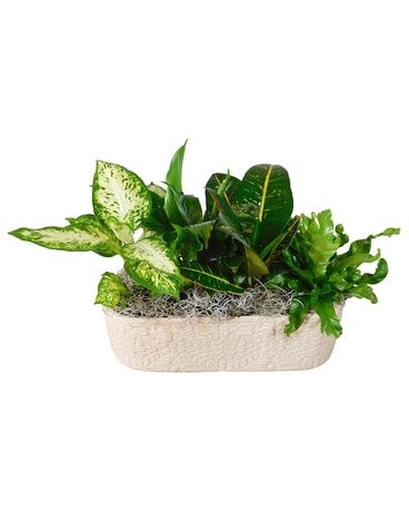 Natural Treasures Flower Arrangement