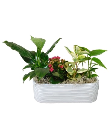 Emerald Amazon Flower Arrangement