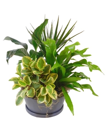Back To Nature Flower Arrangement