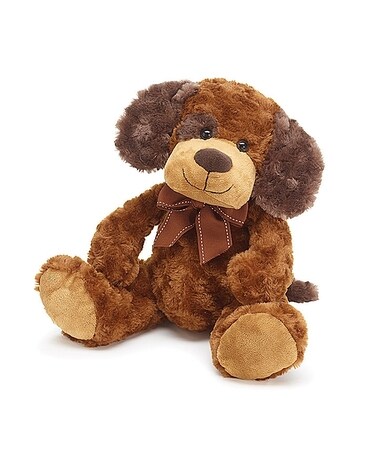 Oliver the Dog Gifts