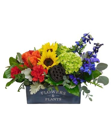 Smell The Rainbow Flower Arrangement