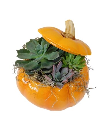 Pumpkin Spice Flower Arrangement