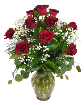 Premium Dozen Red Roses