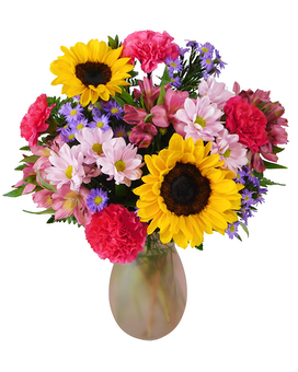 Standard size, 18 inches height and 13.5 inches wide.