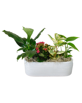 Standard size, 11 inches height and 14 inches wide.