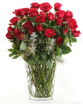 Standard size, 25 inches height and 18.5 inches wide.
