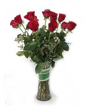 Standard size, 25 inches height and 18.5 inches wide.