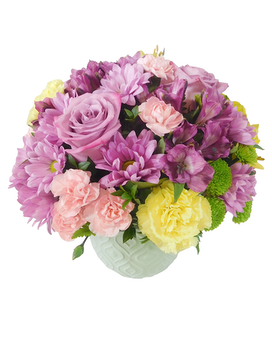 Standard size, 10 inches height and 11 inches wide.