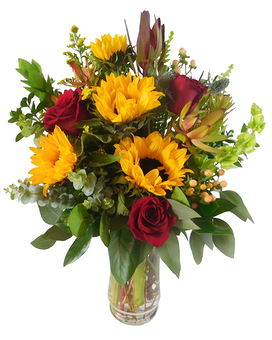 Standard size, 24 inches height and 16 inches wide.