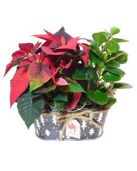 Winter Woodlands Flower Arrangement