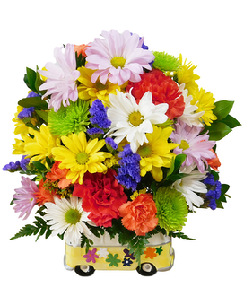 Standard size, 12.5 inches height and 11 inches wide.