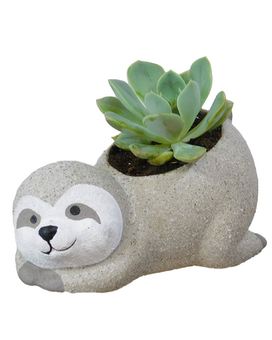 Standard size, 4 inches height and 5.5 inches wide.