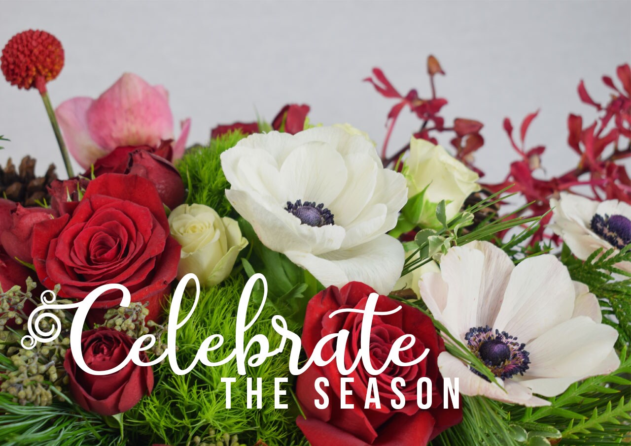 Jonesboro Florist Flower Delivery by Posey Peddler