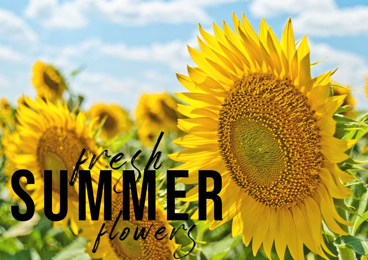 Jonesboro Florist Flower Delivery by Posey Peddler