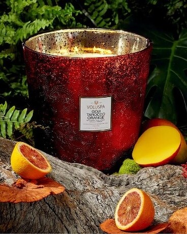 Goji Torocco Hearth 5 Wick Candle