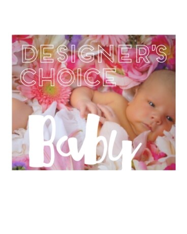 Baby Blooms Designer Choice