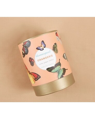 Orangerie Soy Candle | Thomas Paul Gifts