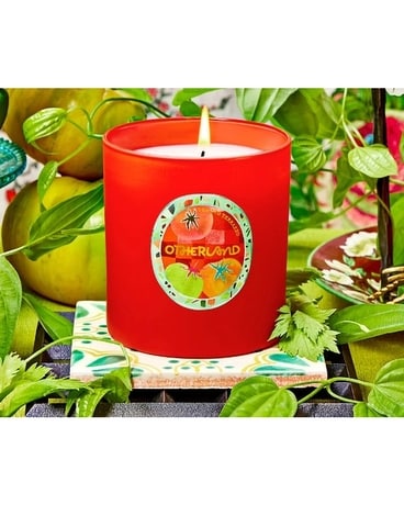 Tomato Terrazzo Candle Gifts